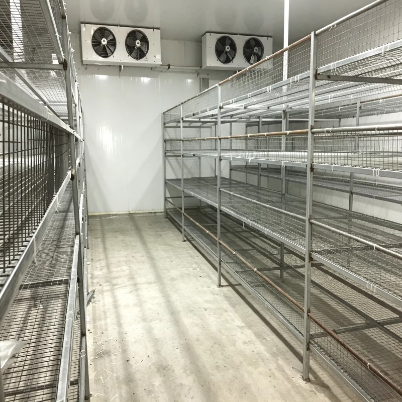 Hydroponic Container Farm with - Urban Farming Projects review and price