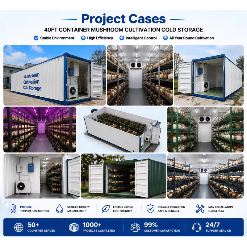 Hydroponic Container Farm with - Urban Farming Projects review and price